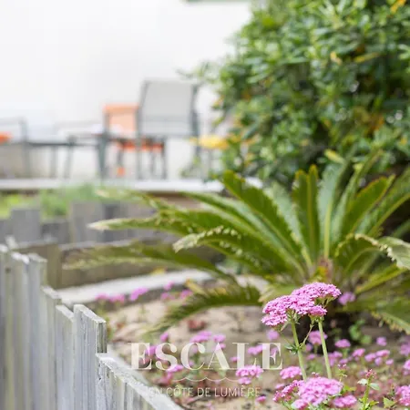 Ocean Nature & Convivialite Pour 5 A 6 Personnes Feriehus Les Sables-dʼOlonne