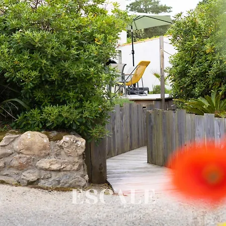 Ocean Nature & Convivialite Pour 5 A 6 Personnes Feriehus